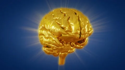Gold Human Brain Rotation Stock Footage 90567798