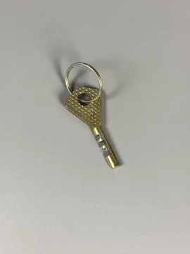 Gold key on a ring placed on a gray surface Stock Photos