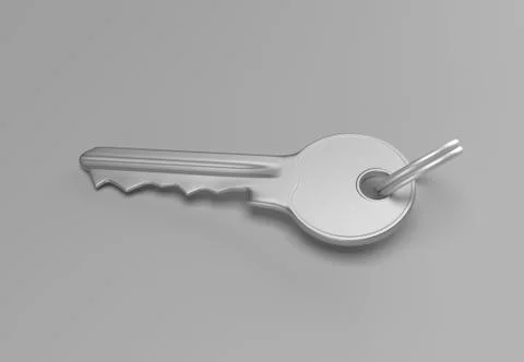 Gold key with silver ring Stock Illustration