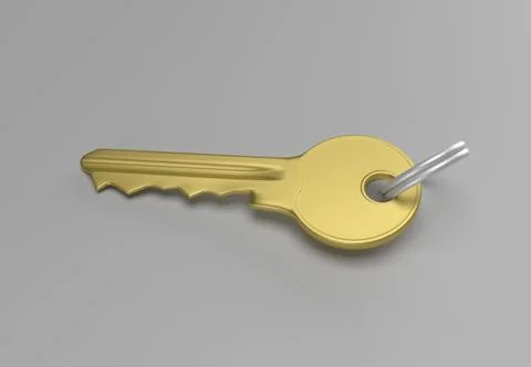Gold key with silver ring 스톡 일러스트