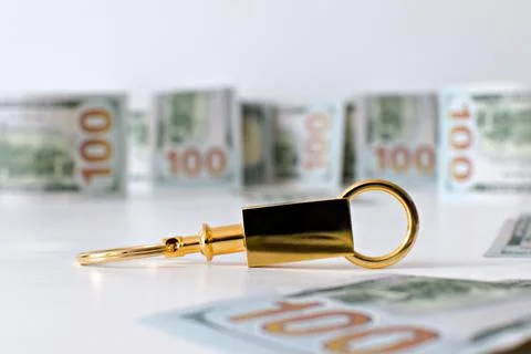 Gold keychain with dollars notes Stock Photos