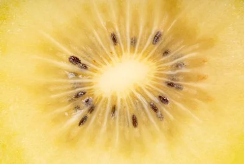 Gold kiwi background Stock Photos