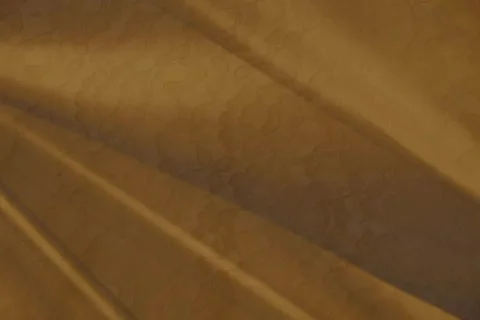 Gold Lace Stock Footage 335136