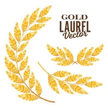 Gold Laurel Vector. Elements For Award Design Stock Illustration
