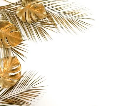 Gold leaf frame isolated on a white background  top view. Gold palm, monstera le Stock Photos