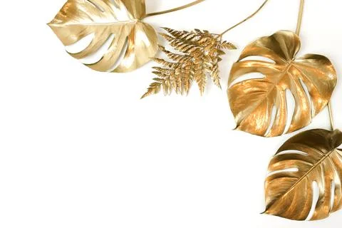 Gold leaf frame isolated on a white background  top view. Gold palm, monstera le 스톡 사진