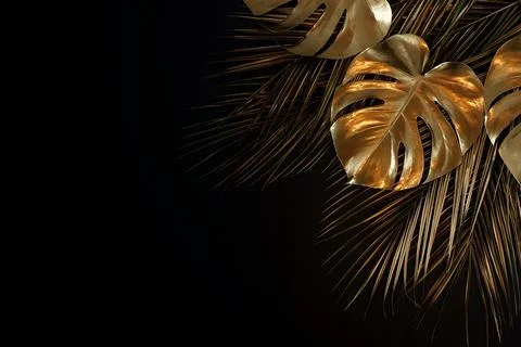 Gold leaf isolated on a black background  top view. Gold palm, monstera leaves , Stock Photos