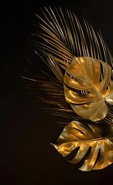 Gold leaf isolated on a black background  top view. Gold palm, monstera leaves , Stock Photos