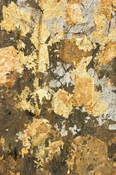 Gold leaf Stock Photos