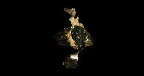 Gold Leaf Turning on Black Stock Footage 105343098