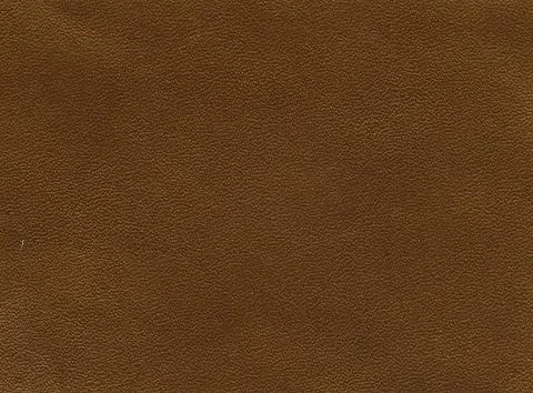 Gold leather texture Stock Photos