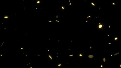 Gold leaves dropping floating celebration luxury black screen overlay 4k Stock Footage 289911102