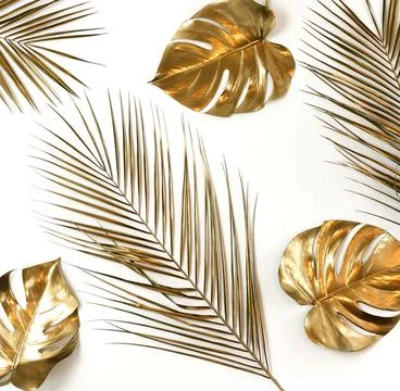Gold leaves pattern isolated on a white background  top view. Gold palm,  monste Stock Photos