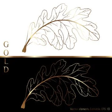 Gold leaves vector graphics for the wall. Oak Leaf. Line drawing of boho foli Stock Illustration