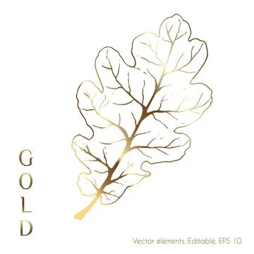 Gold leaves vector graphics for the wall. Oak Leaf. Line drawing of boho foli Stock Illustration
