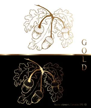 Gold leaves vector graphics for the wall. An oak leaf and a branch with acorn Stock Illustration
