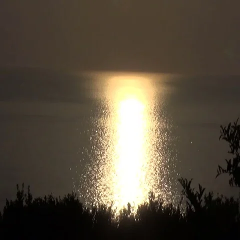 Gold Light on the Sea Stockbeeldmateriaal 69416356