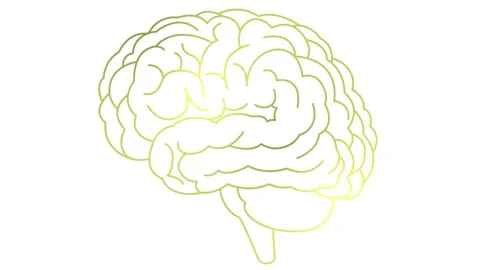 Gold line brain 2 white Stock Footage 304491883