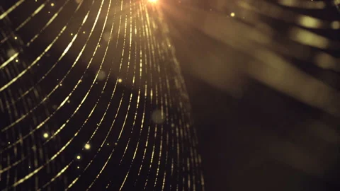 Gold Lines with Particles Loop Background Video stock 90263293