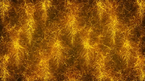 Gold Magic Abstraction Stock Footage 64706412