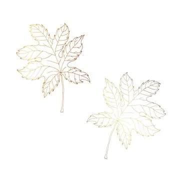 Gold maple leaf. White isolated background. Vector file. Stock Illustration