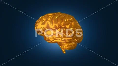 Gold metal brain on dark blue background Stock Illustration