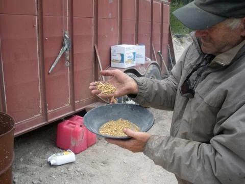 Gold Miner Stock Photos
