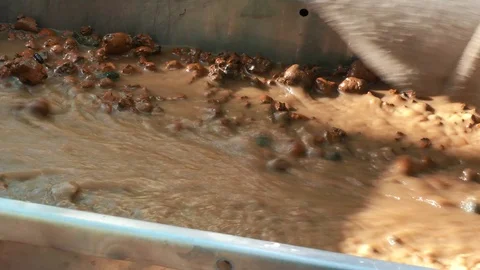 Gold mining Stock Footage 91723801