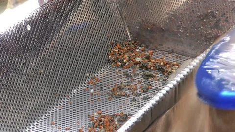 Gold mining Stock Footage 91723853