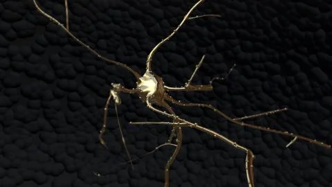 Gold Neuron cell inside the brain in motion Stock Illustration