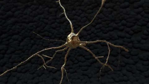 Gold Neuron cell inside the brain in motion Stock Illustration