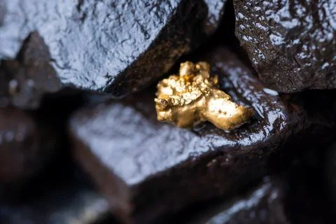 Gold Nugget mining from the River in Austria, real Gold. Stock Photos