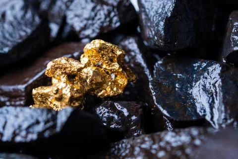 Gold Nugget mining from the River in Austria, real Gold. Stock Photos