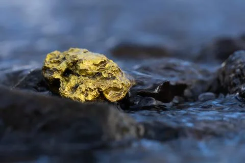 Gold Nugget mining from the River in Austria, real Gold. Stock Photos