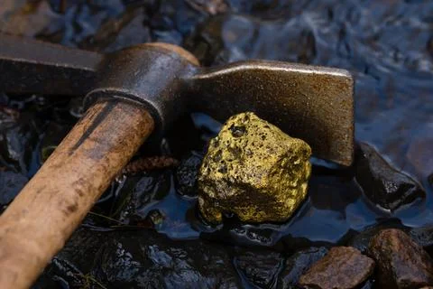 Gold Nugget mining from the River in Austria, real Gold. Stock Photos