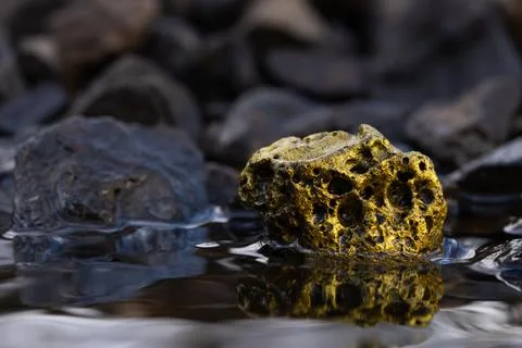 Gold Nugget mining from the River in Austria, real Gold. Stock Photos