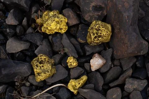 Gold Nugget mining from the River in Austria, real Gold. Stock Photos