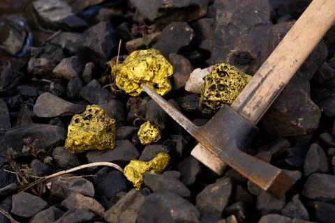 Gold Nugget mining from the River in Austria, real Gold. Stock Photos