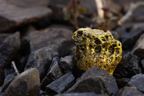 Gold Nugget mining from the River in Austria, real Gold. Stock Photos