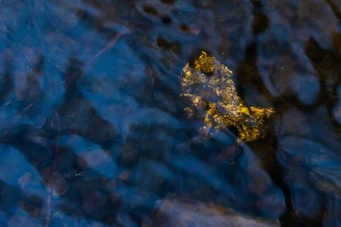 Gold Nugget mining from the River in Austria, real Gold. Stock Photos
