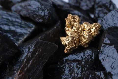 Gold Nugget mining from the River in Austria, real Gold. Stock Photos
