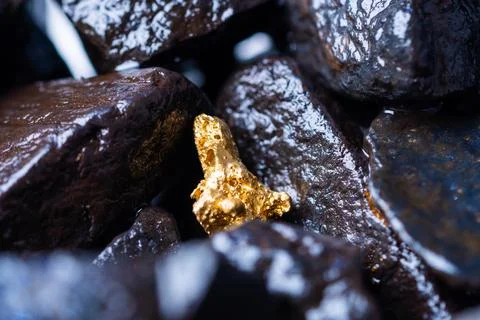 Gold Nugget mining from the River in Austria, real Gold. Stock Photos