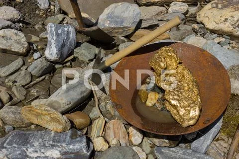 Gold Nugget mining from the River Stock Photos