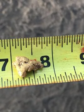 Gold Nugget Stock Photos
