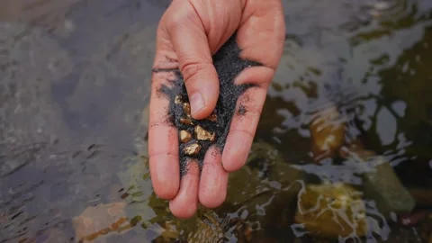 Gold nuggets in hand gold mining old school ,traditional gold rush mining gold Stock Footage 233974504