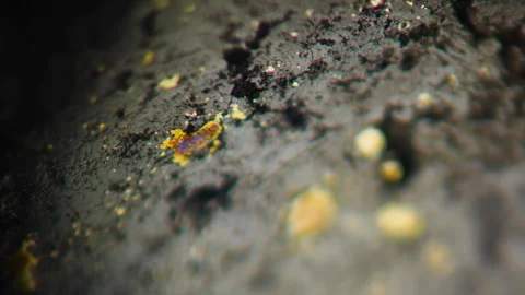 Gold Ore for mining precious and rare earth metals under the microscope. Super Stock Footage 278190084