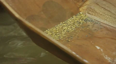 Gold output tray Stock Footage 68331337