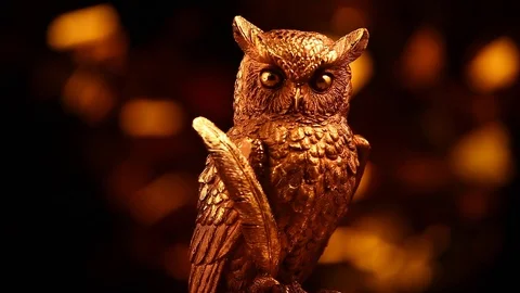 Gold owl figure studio hd footage Stock Footage 97589618
