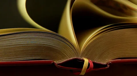 Gold Pages Turn Stock Footage 29334888