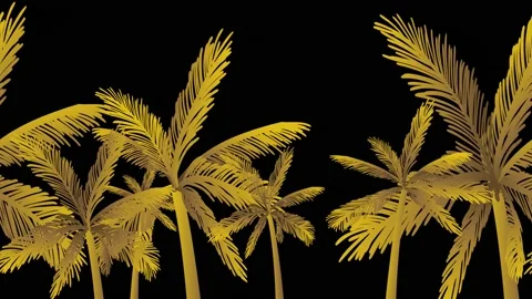 Gold palm tree Stock Footage 200982325